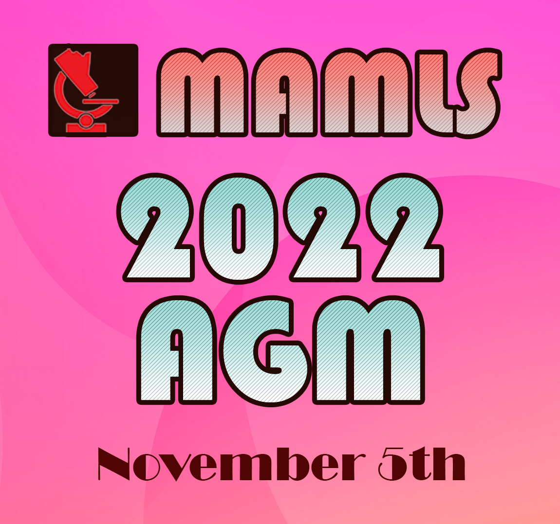 MAMLS 2022 AGM
